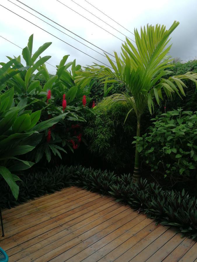Tamandua -Home Feeling- La Fortuna Exterior foto